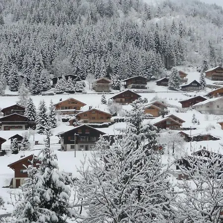 Charming Duplex With Balcony On The Slopes Appartement *